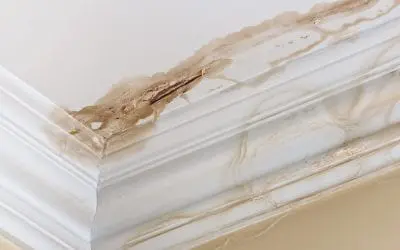 4 Ways to Spot Moisture Problems in the Home