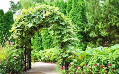 Tips to Prepare Your Home for Summer