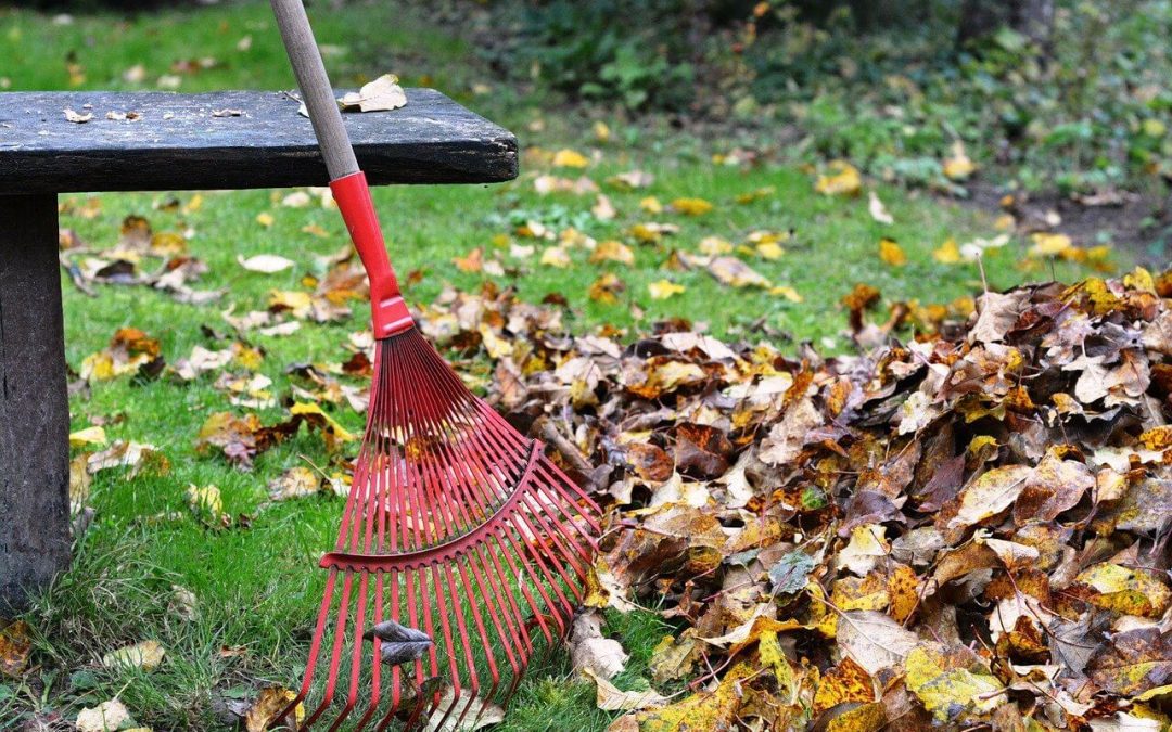 3 Easy Steps for Fall Home Maintenance