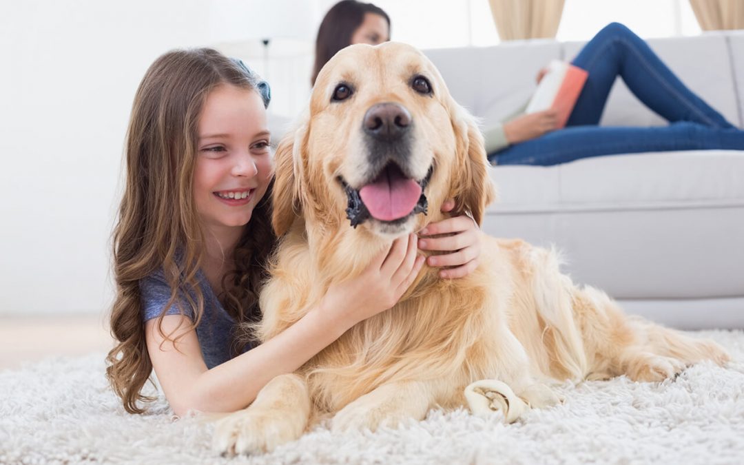 5 Cleaning Tips for Pet Owners